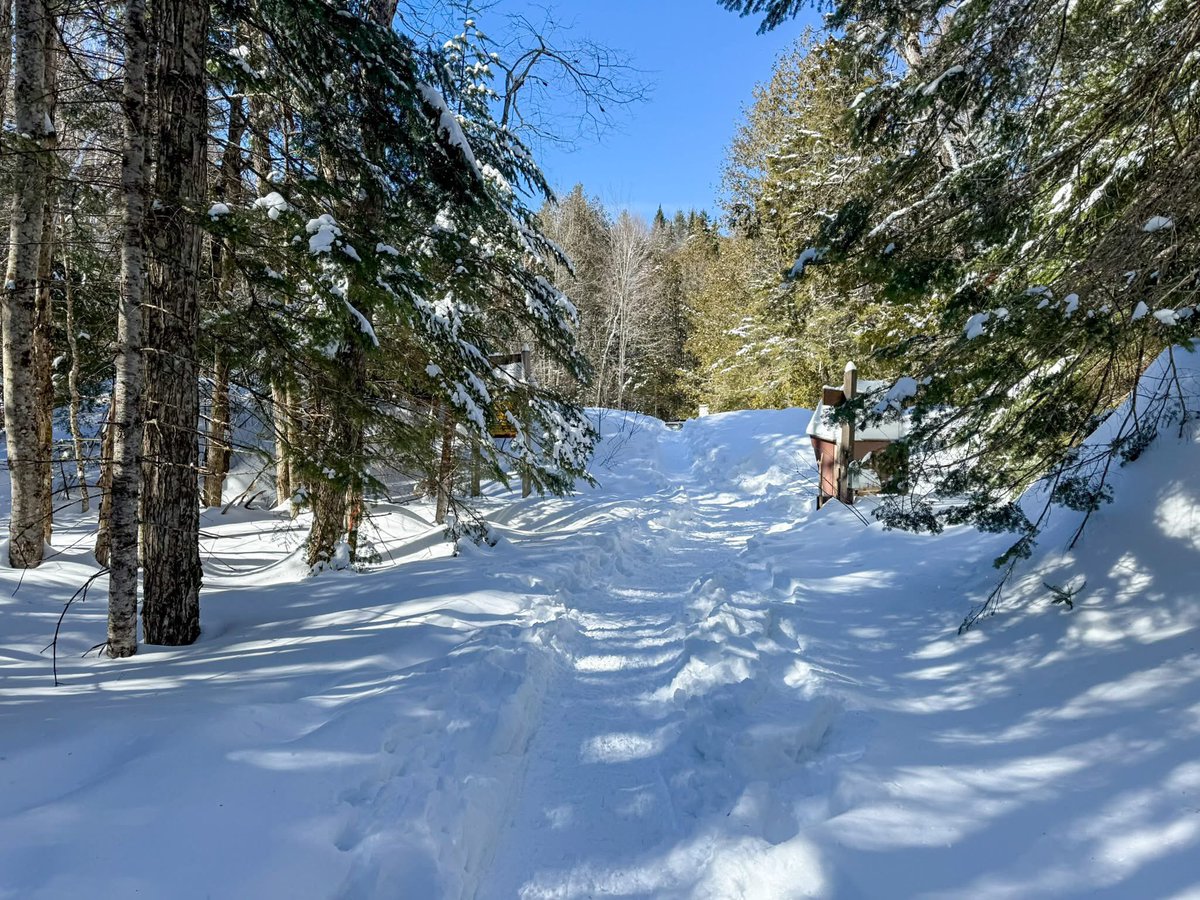 StephenLemieu15's tweet photo. Mount Adams Fire Tower in Tahawus NY on 3/3/25.   #Adirondack #winter2025 @adirondacknet @PureADK @adkexplorer @AdksUSA  @AdkEnterprise  @ADKattractions #adirondacks  #Adirondacks @I_LOVE_NY  @adirondack  #upstateny #adirondack #WINTER #firetower #hikingadventures #hiking https://t.co/mNLg6owb8L