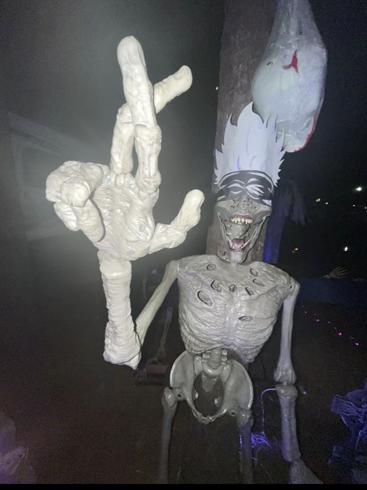 Wallace Grayce tweet media