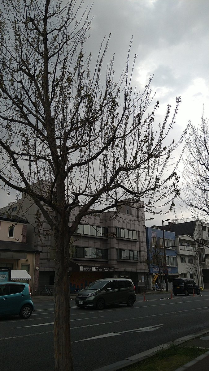 hokutoshobo's tweet photo. お早うございます。
今朝の京都市は曇り☁️
本日もよろしくお願いします😆

#企業公式が毎朝地元の天気を言い合う 
#企業公式春夏秋冬フォロー祭り 
#企業公式相互フォロー https://t.co/ljX9dqUnXO