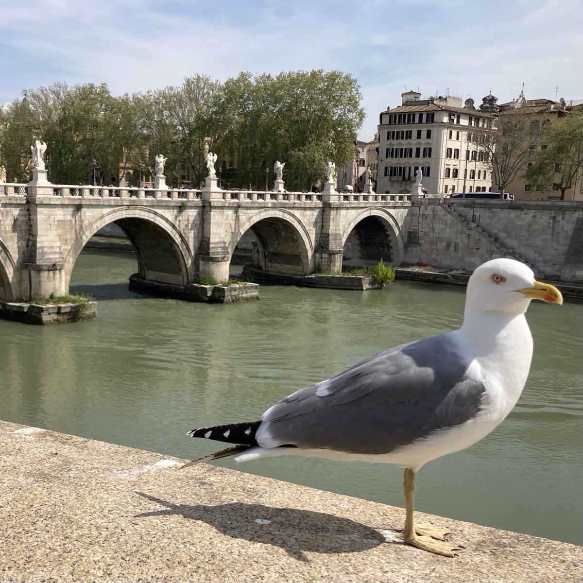 AddiscombeAmbassador tweet media