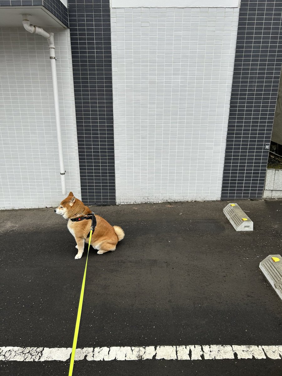 納車されました。