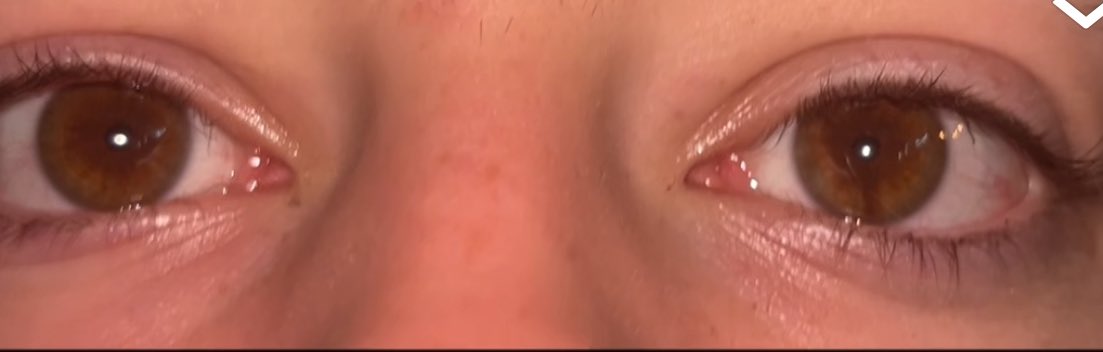 Scout_Dum's tweet photo. @kaistarves I don’t love my eyes, but they remind me of chocolate https://t.co/H53SkZypwb