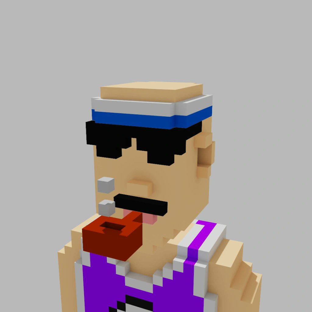 <a href="/ElitePunksVC/">ElitePunks Voxel Club 🍻</a> Steps and summit🤝