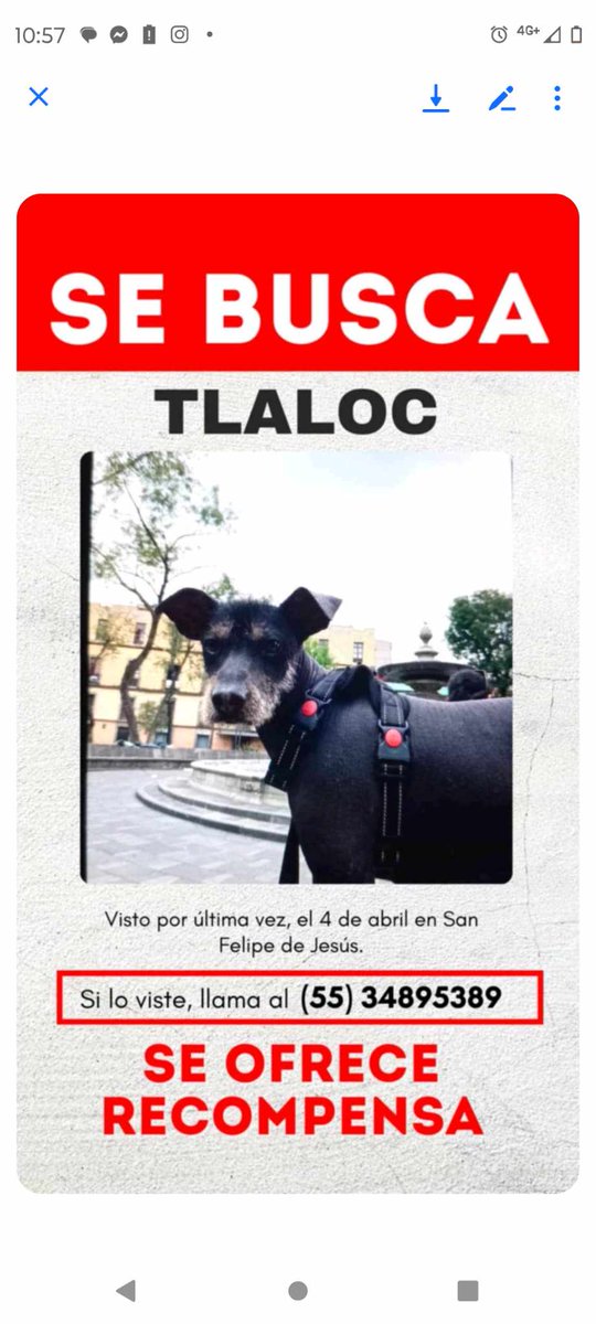 Se busca, lo has visto? Comparte