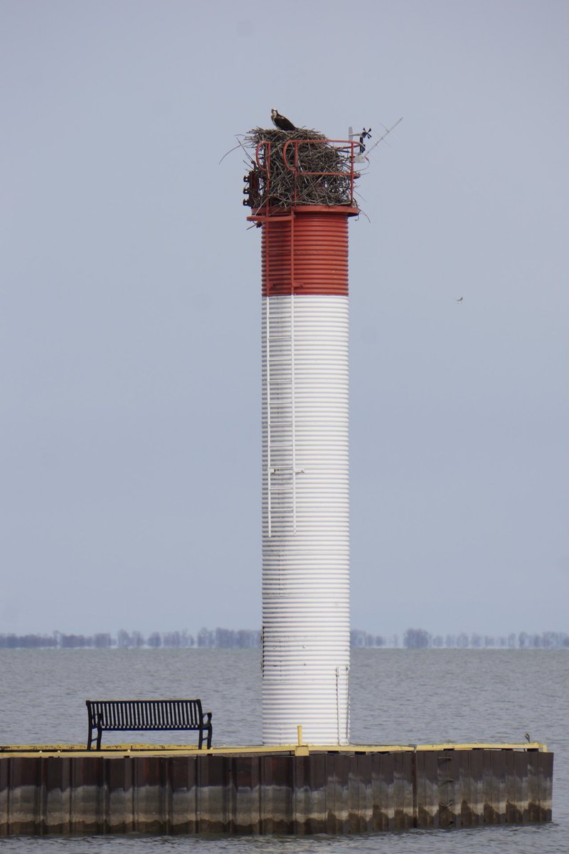 AlJDugan's tweet photo. We were parked some distance from the lighthouse in Port Rowan and got these shots. I only had a 200mm lens with me. Oh well. On the lighthouse you can see the Osprey, its nest, an anemometer and an antenna. #PortRowan #Osprey #Raptor https://t.co/7Zdl5cZqU7
