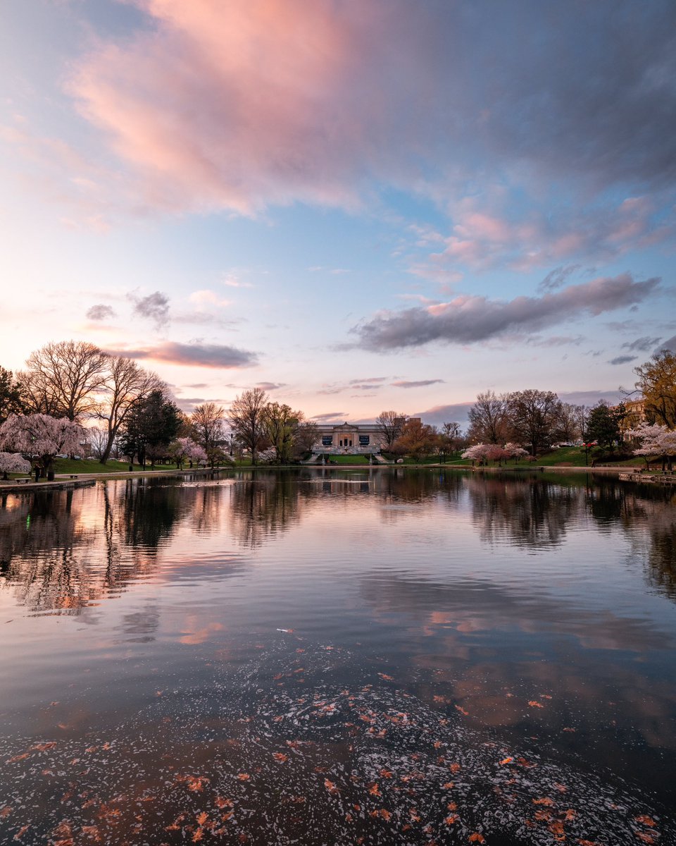 GabeWasylko's tweet image. Cherry Blossom Sunsets in Cleveland, Ohio
