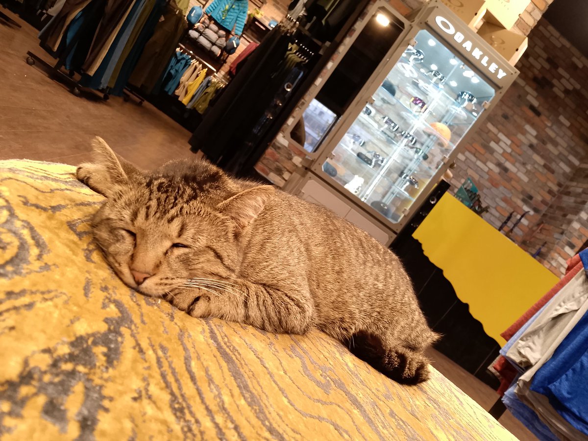 Uyan Superman, daha uçacaksın!