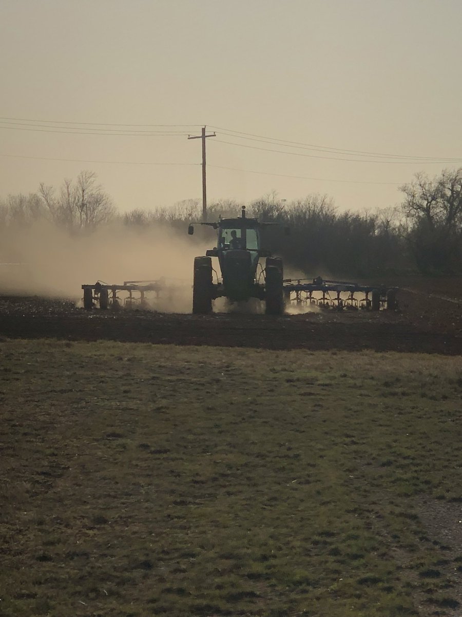 Just dropping gas in front of Sunflowers. 35ft tool on a 4955 running 6.5 mph. #AgTwitter  #AgX  #farming #nh3  #JohnDeere #plant25 #sunflowers #Oklahoma
