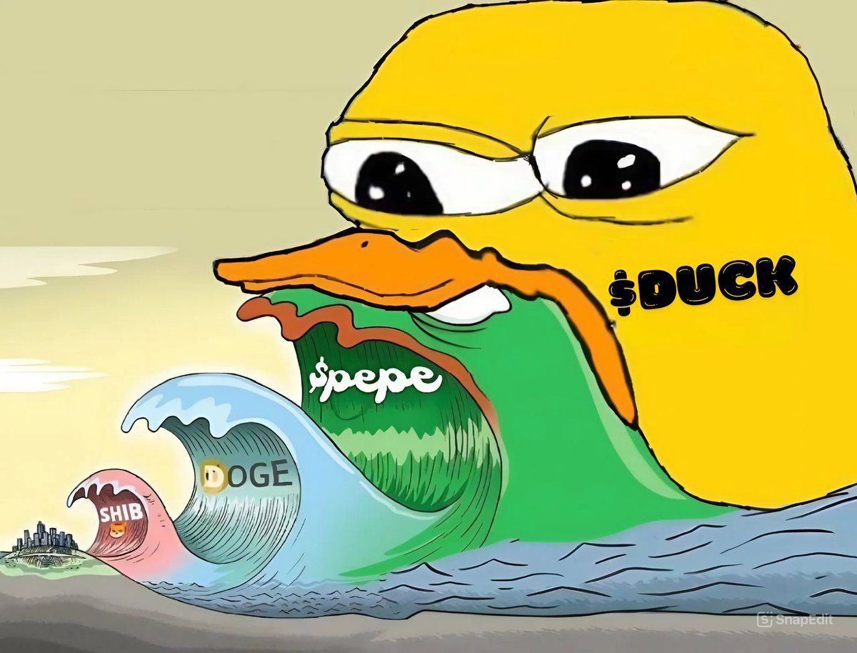 DUCK | BNB tweet media