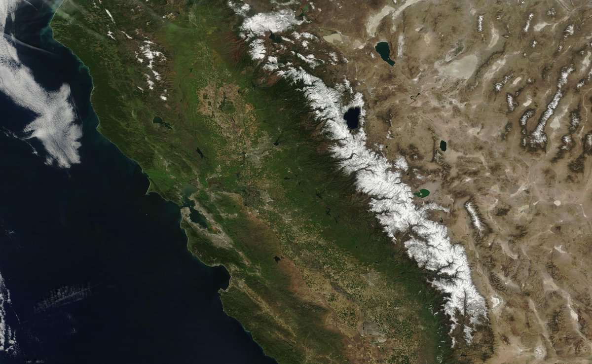 Darren Peck tweet media