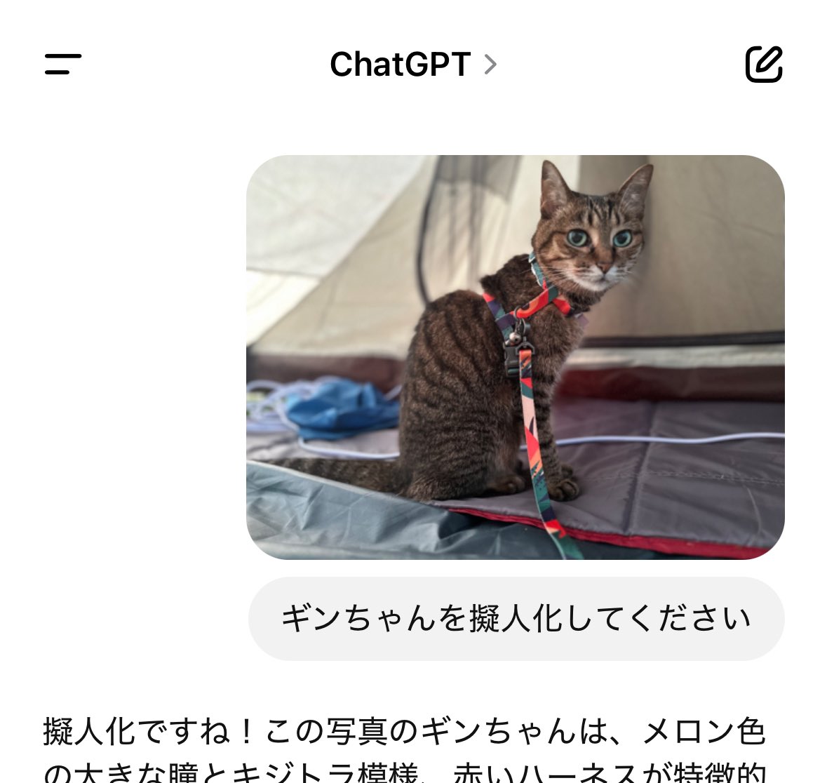 ginchan794's tweet photo. 随分と若返ったねギンちゃんw https://t.co/Zp5BGsSkSm