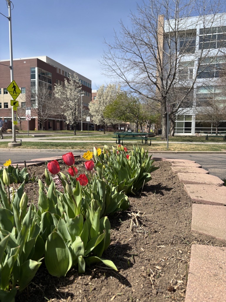 CU Department of Medicine (@cudeptmedicine) on Twitter photo Spring is here, and so is First Bloom at <a href="/CUAnschutz/">CU Anschutz Medical Campus</a>! 🌼 Our team stopped by to grab some basil, cookies, and good vibes. A beautiful way to welcome the season and spend time in community. #FirstBloom Spring is here, and so is First Bloom at <a href="/CUAnschutz/">CU Anschutz Medical Campus</a>! 🌼 Our team stopped by to grab some basil, cookies, and good vibes. A beautiful way to welcome the season and spend time in community. #FirstBloom