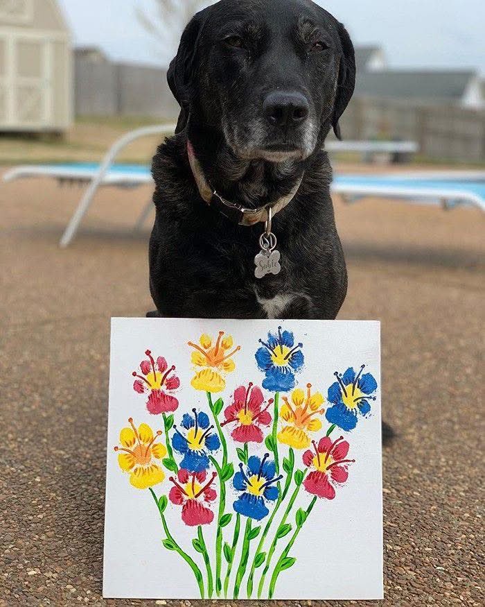 DiloConPerritos's tweet photo. Ideas en 5 minutos: https://t.co/d7i7kbzo54