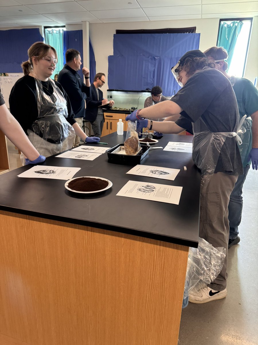 Stephanie Reiners (@steph_reiners) on Twitter photo Valley Springs HS, <a href="/NIETteach/">National Institute for Excellence in Teaching</a> <a href="/ArkansasEd/">Arkansas Department of Education</a> LT Mr. Whittaker engaged in dissecting pig hearts to understand organ function. Coaching isn’t just about pedagogy, it’s about empowering curiosity, critical thinking, and real-world science in every heartbeat. <a href="/TheresaHamiton/">TDHam08</a> <a href="/amyygayle/">Amy Y. Gayle</a> Valley Springs HS, <a href="/NIETteach/">National Institute for Excellence in Teaching</a> <a href="/ArkansasEd/">Arkansas Department of Education</a> LT Mr. Whittaker engaged in dissecting pig hearts to understand organ function. Coaching isn’t just about pedagogy, it’s about empowering curiosity, critical thinking, and real-world science in every heartbeat. <a href="/TheresaHamiton/">TDHam08</a> <a href="/amyygayle/">Amy Y. Gayle</a>