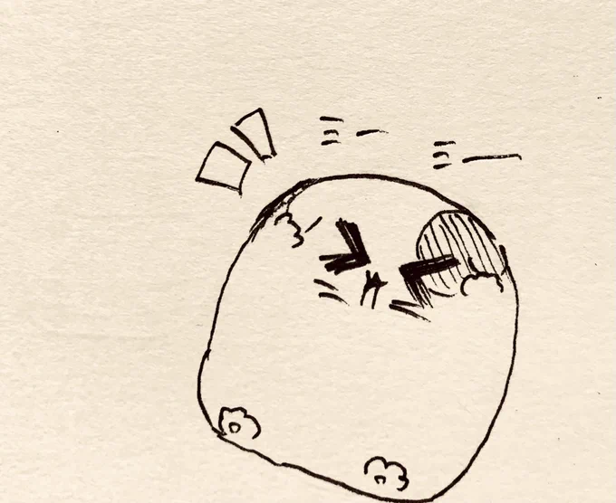 今日も仕事頑張ろうね🐱 