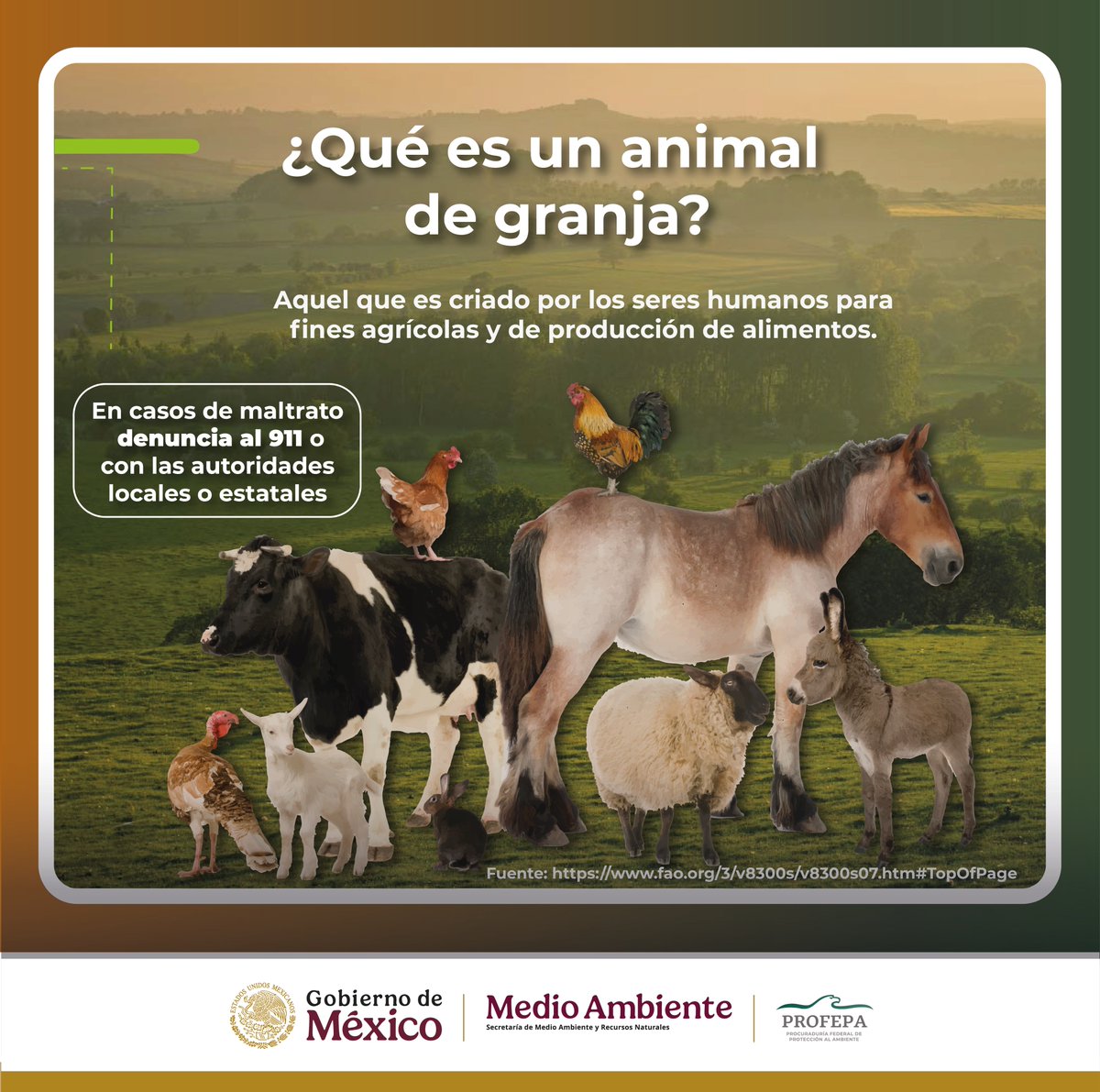 PROFEPA_Mx's tweet photo. 🟩 Siempre es buen momento para recordar cuáles son las atribuciones de la #Profepa en distintas materias.

Por ejemplo, en lo que se refiere al cuidado y protección de animales, nuestras atribuciones están claramente establecidas en la Ley General de Vida Silvestre.
✅ 🐍🦎🐳🐋🐅🐊🦔🦡🦩🦇🦅🐘🐬
Nos corresponde vigilar el bienestar de la fauna silvestre y de los organismos que subsisten sujetos a los procesos de evolución natural y que se desarrollan en su hábitat. Esta definición incluyen poblaciones menores y ejemplares de vida silvestre que se encuentran bajo el control de los seres humanos (ejemplares en zoológicos y delfinarios) y excluye a animales de compañía (por ejemplo, gatos y perros) y de granja (por ejemplo, caballos, ganado, burros, gallinas).
❌ 🐷🐮🐭🐤🦮🐎🐴🐈
Garantizar la protección y el bienestar de este tipo de animales son competencia de las áreas de medio ambiente de los gobiernos locales y estatales.

👉 https://t.co/VT1BDfb7ac