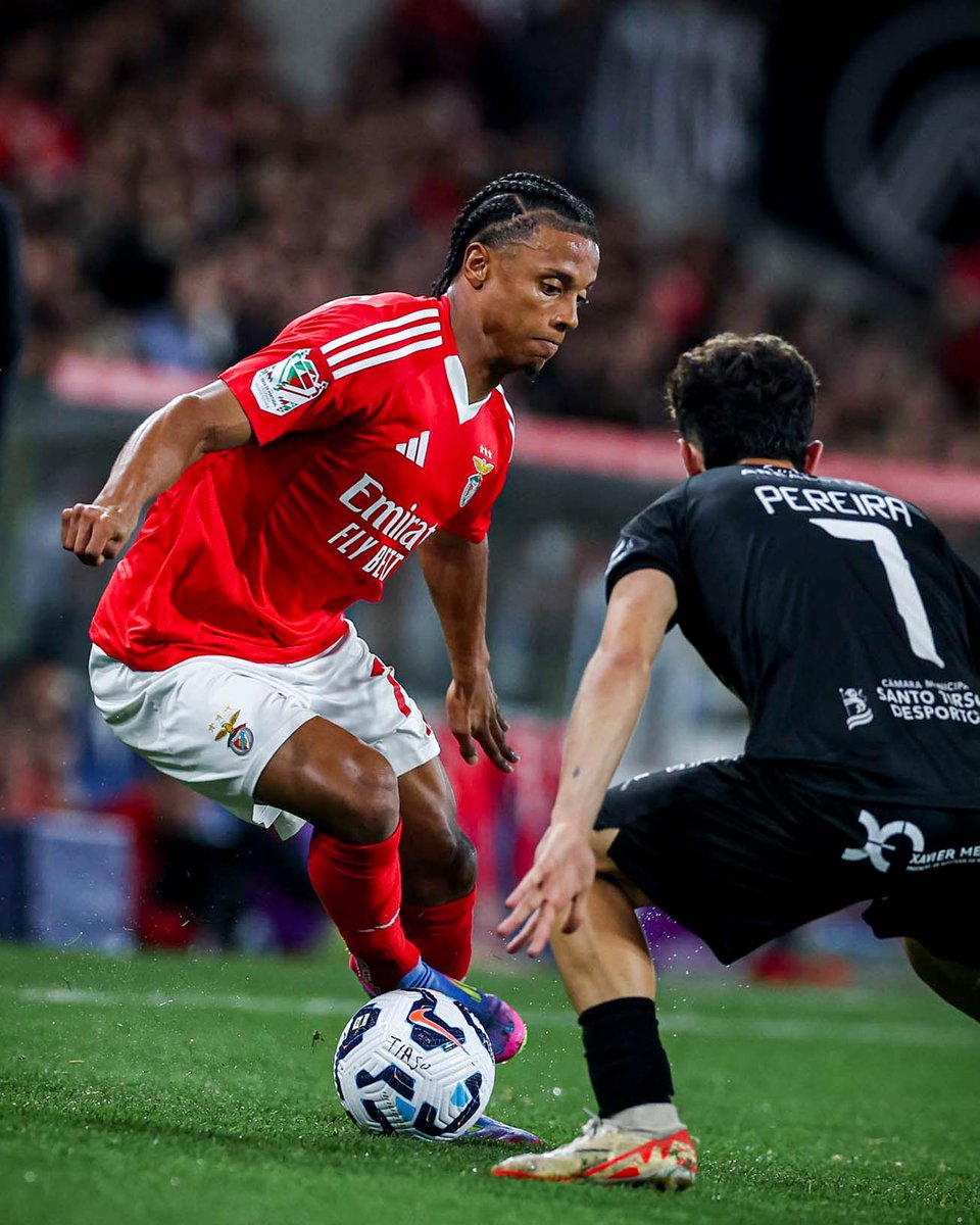 SLBenfica's tweet photo. 📸🎞
#FCTSLB • #TaçadePortugal https://t.co/QvcGUYyYjE