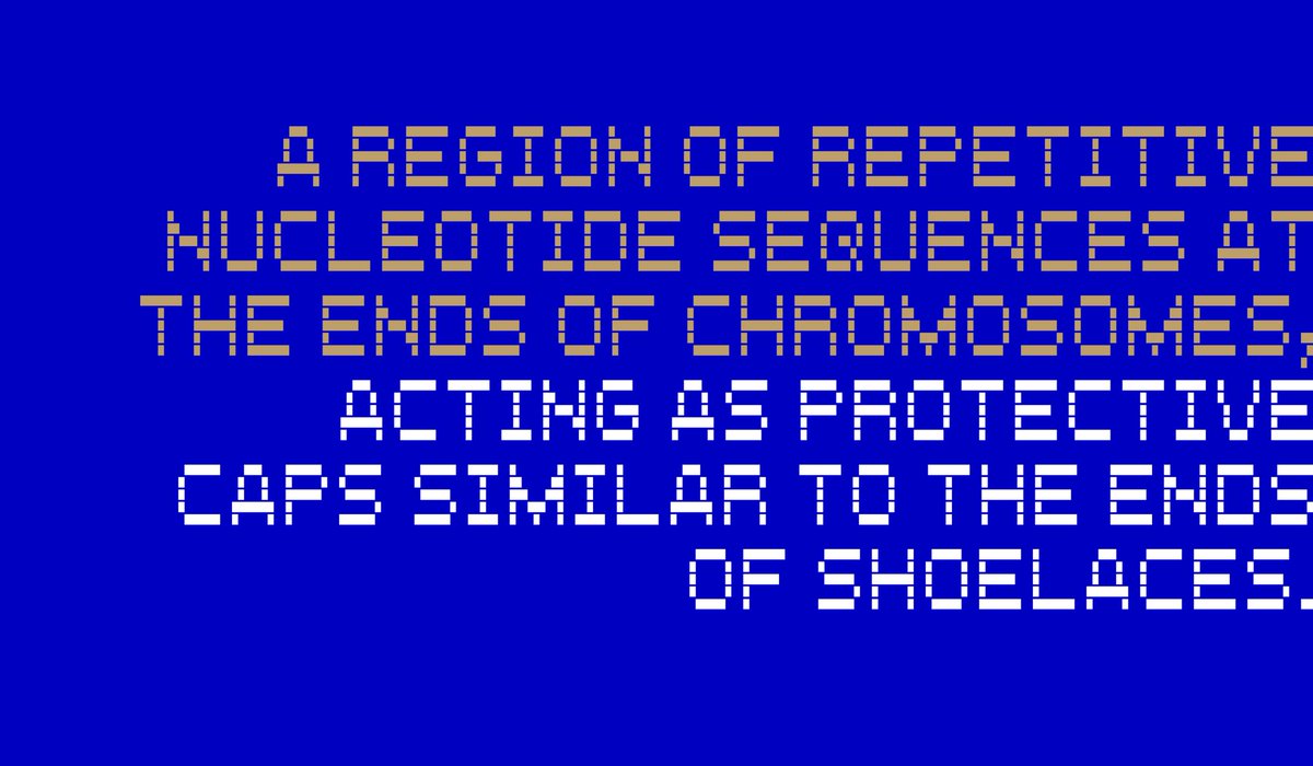 teknike_'s tweet photo. Telomere #typeface by @thomakikis @teknike_ on @MyFonts Get it now! #typography #graphicdesign #font #characters #type #telomere #80s #synthwave #typewriter #typedesign #typedesigner #welovetype #type 

https://t.co/OwFlyLeexs https://t.co/iveZ6uCds7