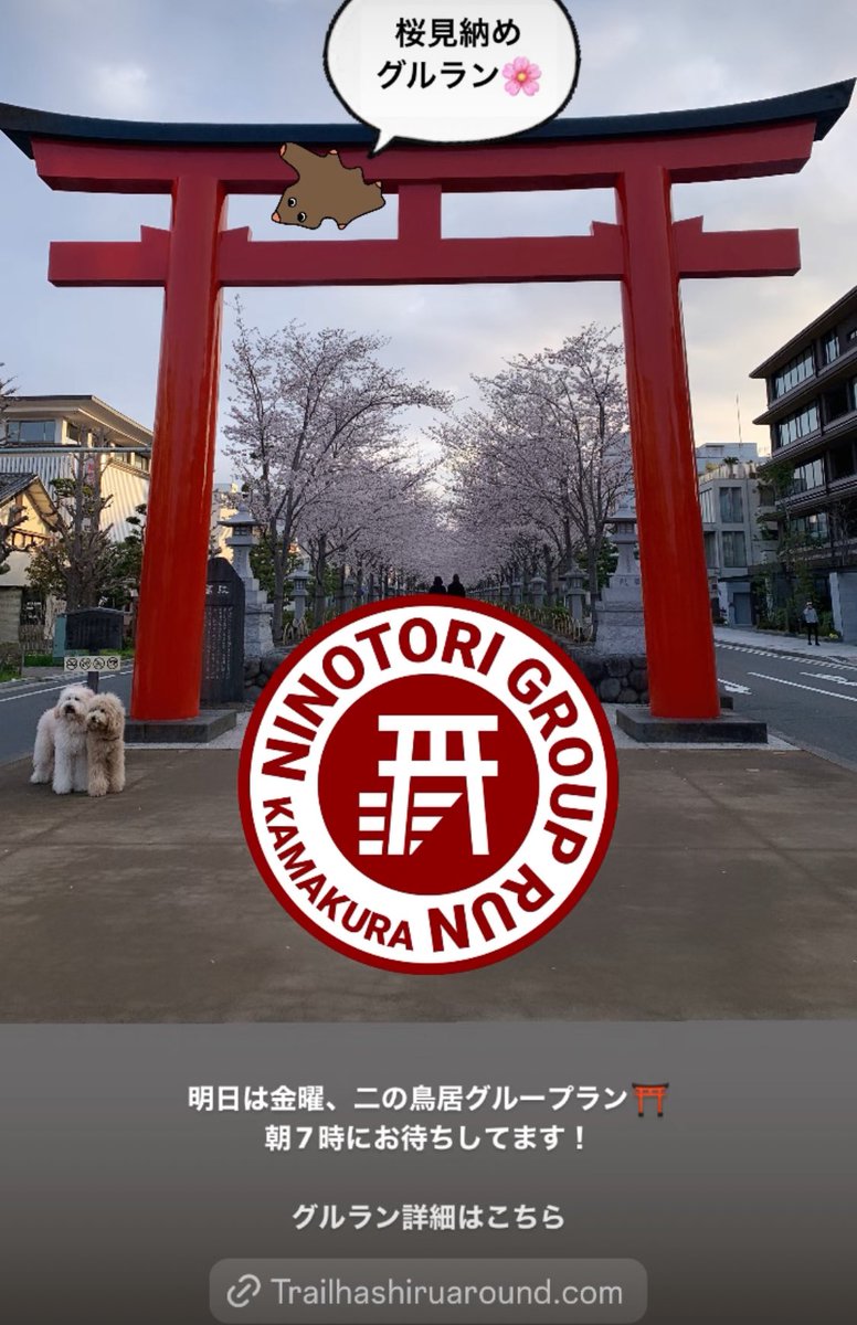 trail1048's tweet photo. 明日は金曜、二の鳥居グループラン⛩️
朝7時にお待ちしてます！

グルラン詳細はこちら
https://t.co/rmOfQzSZ02 https://t.co/drTjaeZVel
