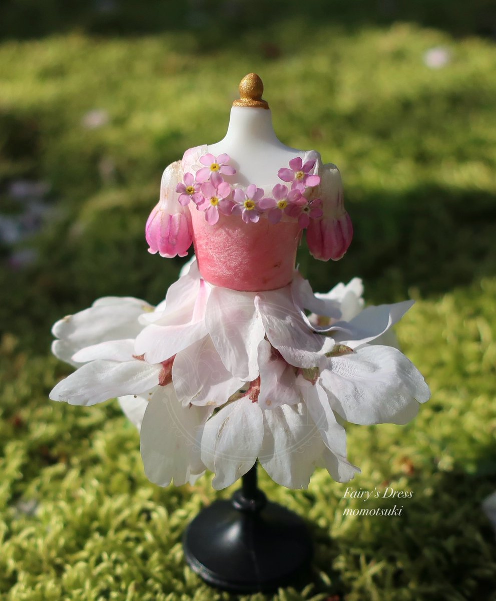 Highlights by Fairy's Dress (@Fairys_Dress) / X Highlights by Fairy's Dress (@Fairys_Dress) / X