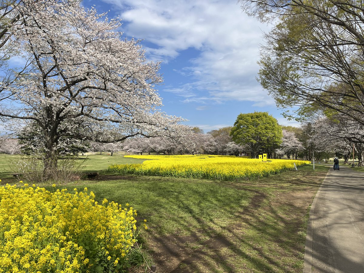 日本の初夏・厳選風景16年【 風景写真 5-6月号　2007〜2022年】16冊 日本の初夏・厳選風景16年【 風景写真 5-6月号 2007年〜2022年】16冊