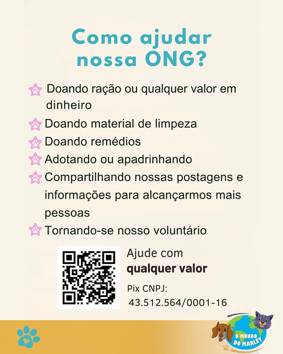 Animais Recife 🐶🐱🐾 tweet media
