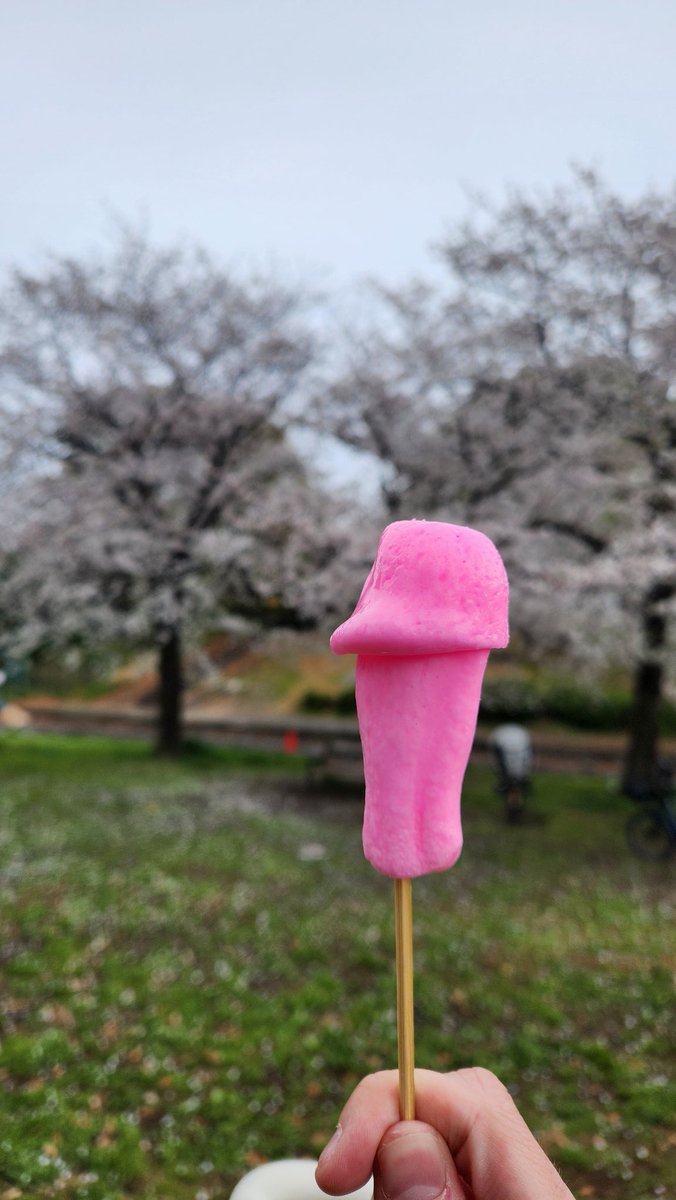 jenguel_'s tweet photo. Kanarama Matsuri diğer adıyla Penis Festivali. Part 1 - 06.04.2025 https://t.co/3m2jxtRz43