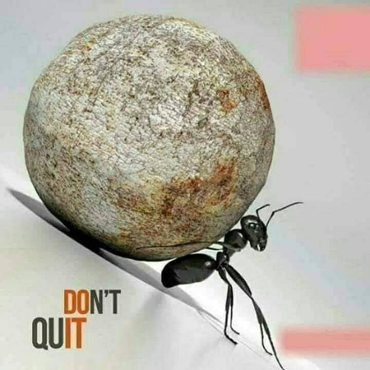 Estamos trabalhando muito e de forma mais inteligente para dar todos os bons resultados e ganhar muito com o seu pequeno investimento inicial.  O capital pode mudar sua vida financeiramente para começar a realizar todas as suas necessidades e atingir seus objetivos