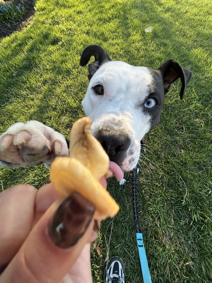 my girl raven 🥹💙