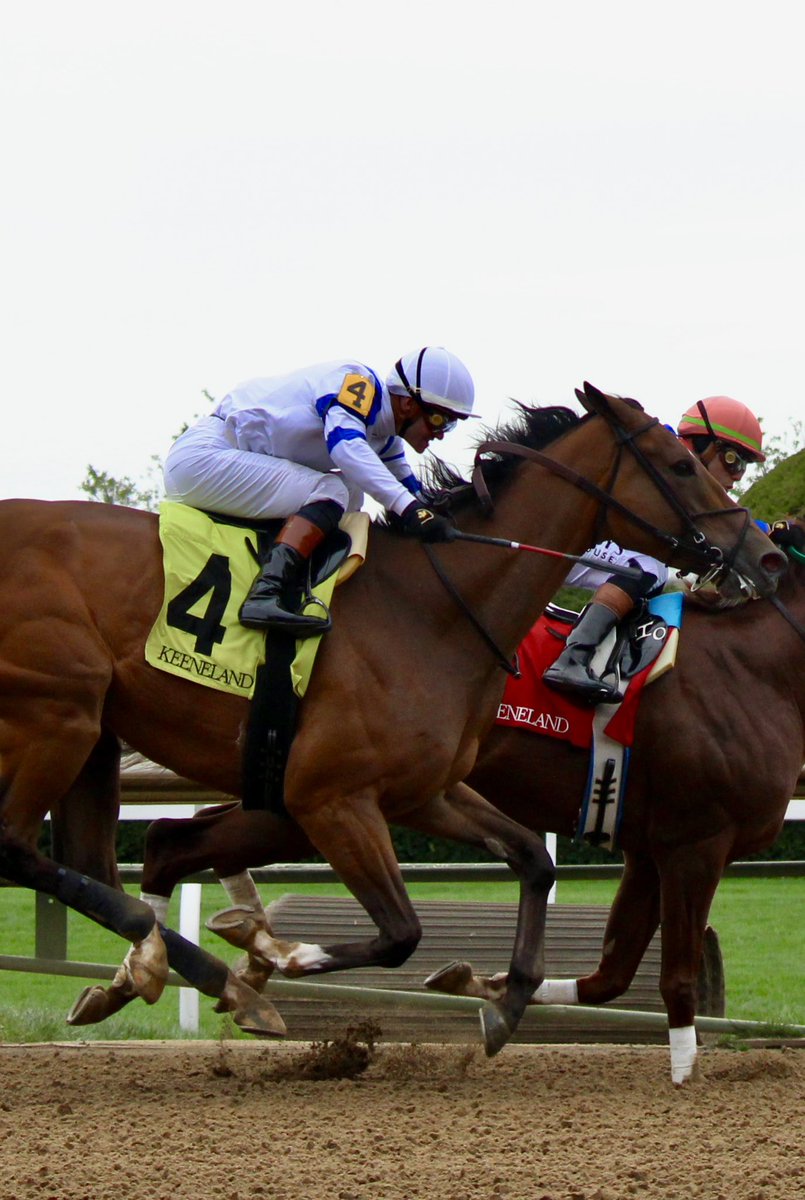 TIGERS LEGACY puts in a big run at Keeneland!

The Walmac owned INTO MISCHIEF colt, trained by Christopher Davis, ran a strong race this afternoon, running second. Looking forward to what’s ahead for this talented runner!