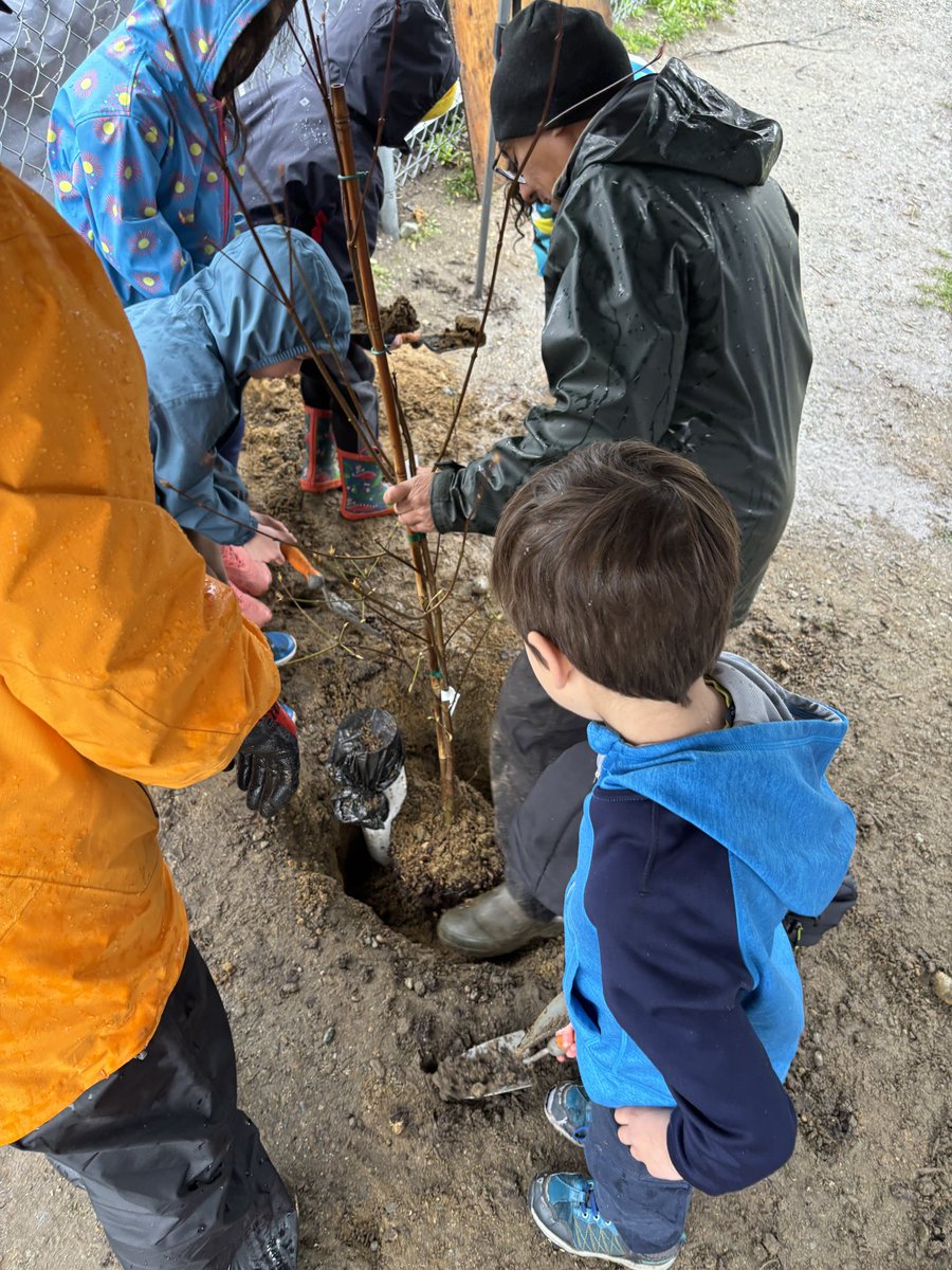 University Highlands (@uhe_sd41) on Twitter photo It may have been pouring rain, but we managed to plant 4 new trees, learn about signs of spring at a microscopic level, and, best of all, identify WORMS! Thank you, <a href="/Roots2Grow/">Roots 2 Grow</a> for helping us learn and grow! 🔬🌱🌸 It may have been pouring rain, but we managed to plant 4 new trees, learn about signs of spring at a microscopic level, and, best of all, identify WORMS! Thank you, <a href="/Roots2Grow/">Roots 2 Grow</a> for helping us learn and grow! 🔬🌱🌸