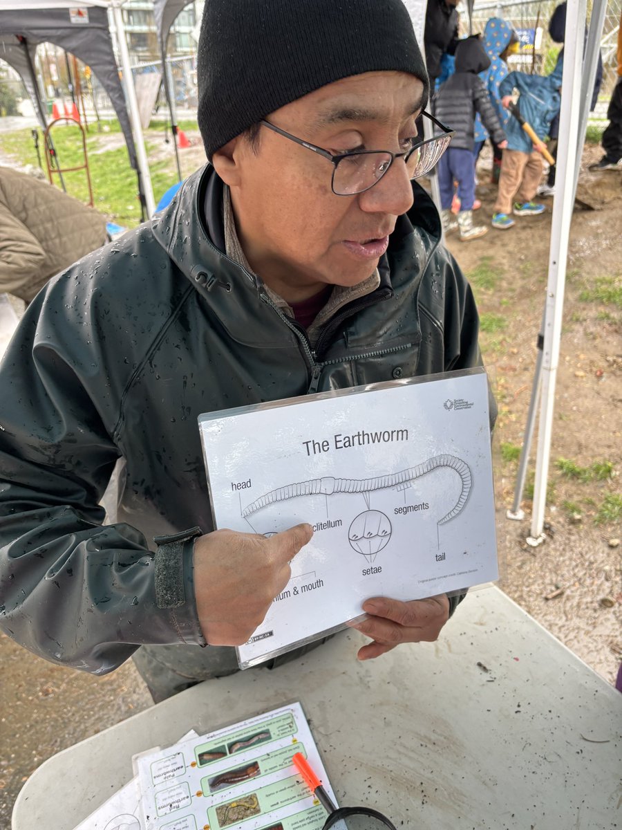 uhe_sd41's tweet photo. It may have been pouring rain, but we managed to plant 4 new trees, learn about signs of spring at a microscopic level, and, best of all, identify WORMS! Thank you, @Roots2Grow for helping us learn and grow! 🪾🔬🌱🌸 https://t.co/XZEcPaT8M1