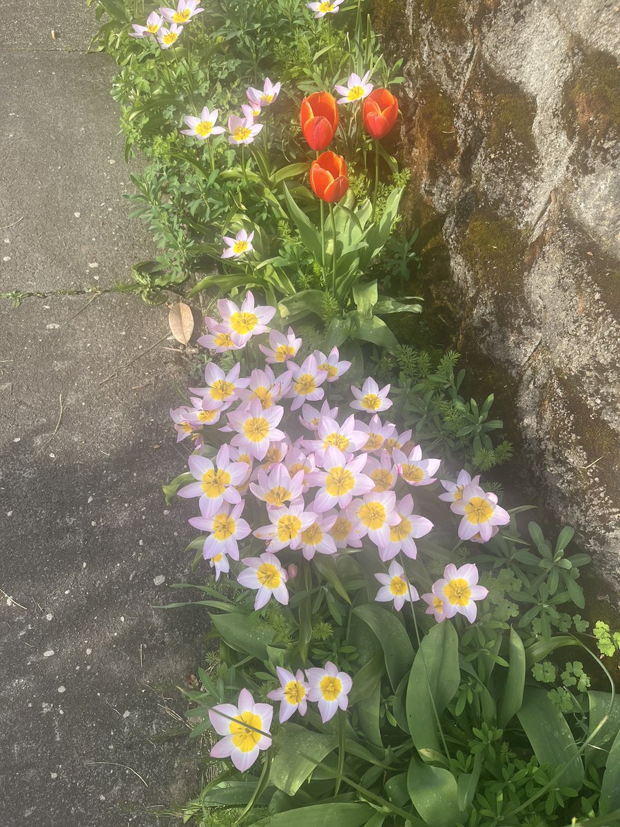 Hooter McKnot tweet media