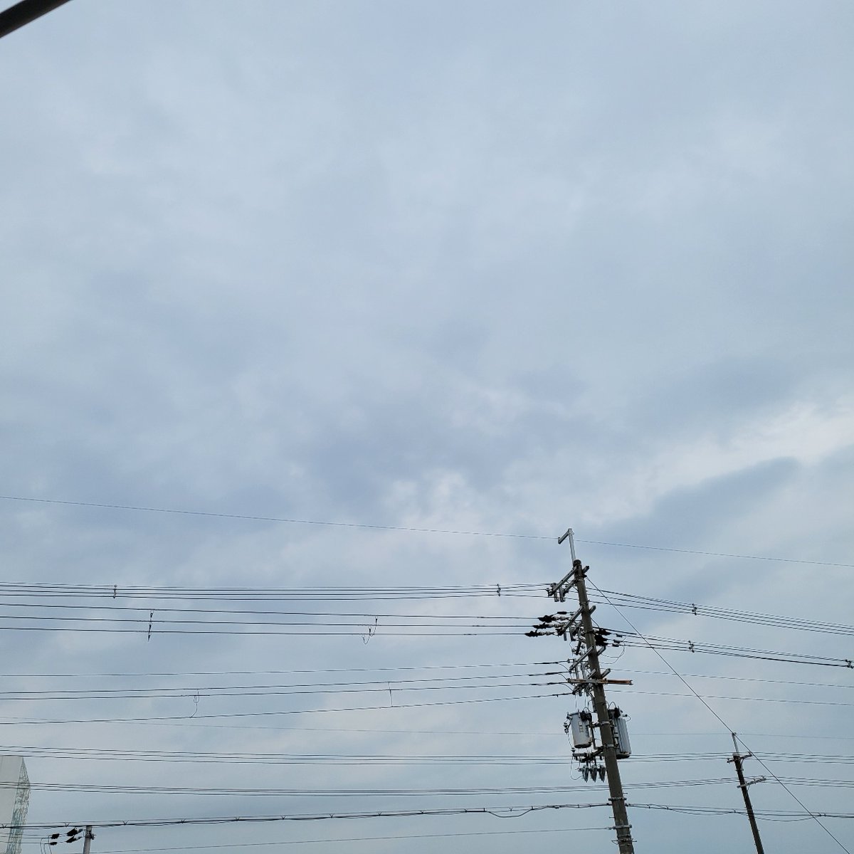 _bestmatching's tweet photo. /　おはようございマッチング　\

大阪府摂津市はもうすぐ雨が降りそうなお天気🌂

桜が葉桜になってきました🍃
次は八重桜が楽しみです♪

今日もよろしくお願いします(^^)/
#企業公式が朝の挨拶を言い合う 
＃シニア住宅
＃高齢者施設
＃要介護
＃施設探し https://t.co/PIzg6VFLN3