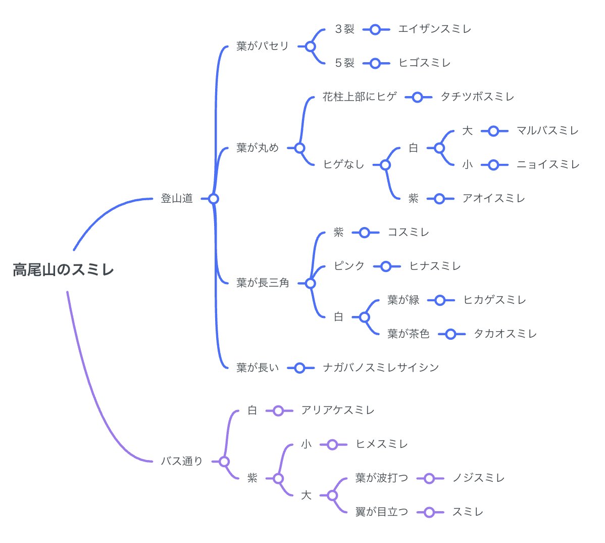 植物が好きな登山ガイド tweet media
