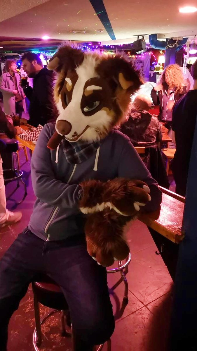 Coffee Addicted Dog tweet media