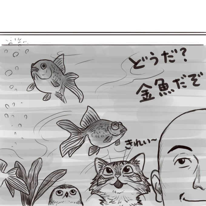 筋魚誕生秘話

#猫フク 