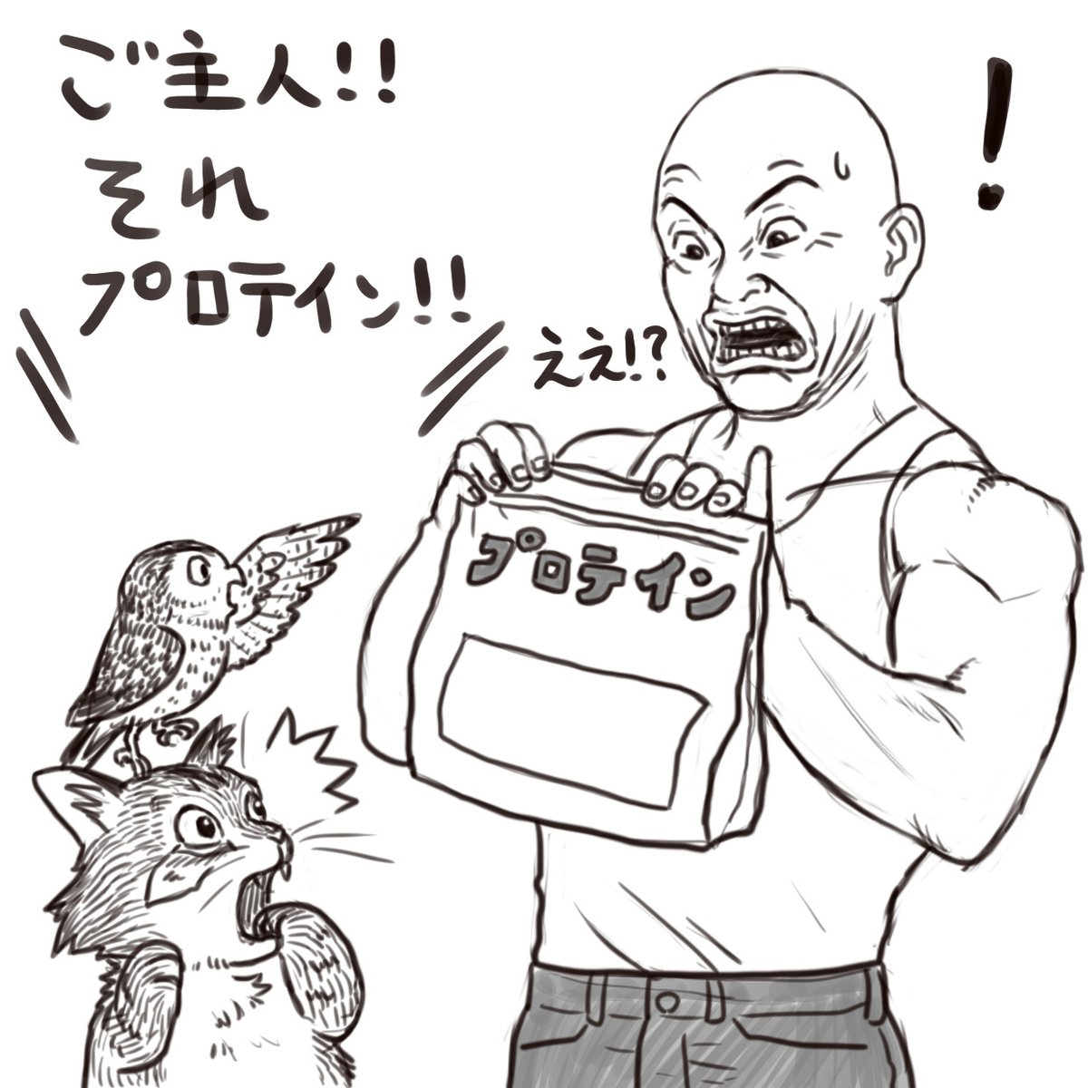 筋魚誕生秘話

#猫フク 