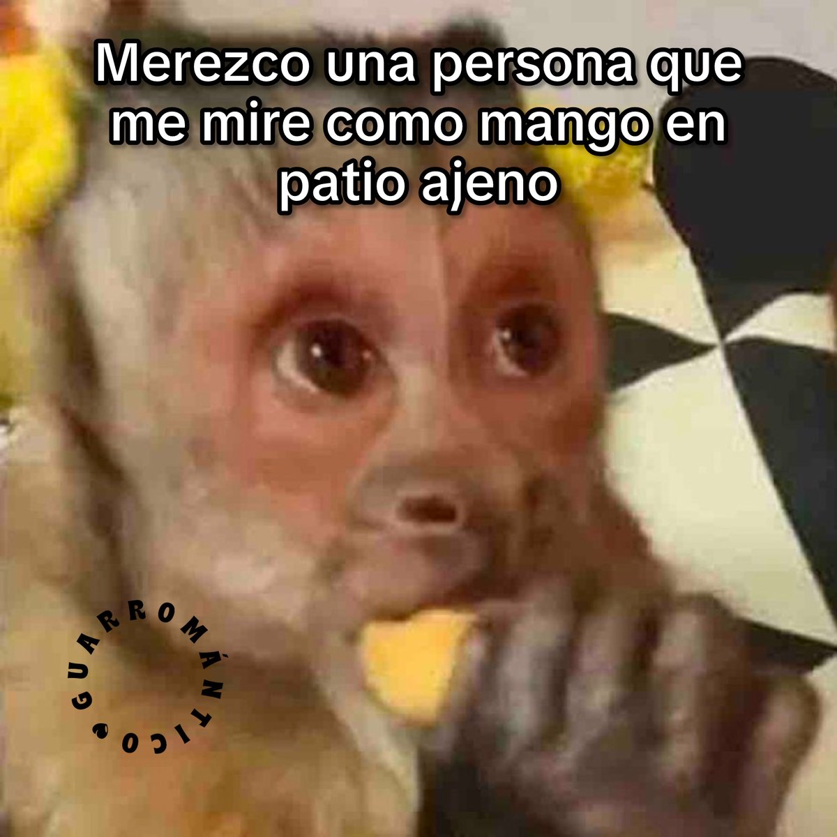 Guarromantico_'s tweet photo. Merezco. https://t.co/rGPVlXBQiJ