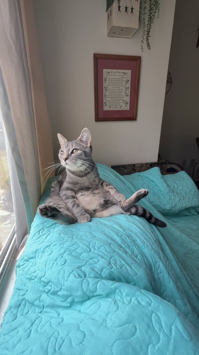 𝔾𝕙𝕠𝕤𝕥 tweet media