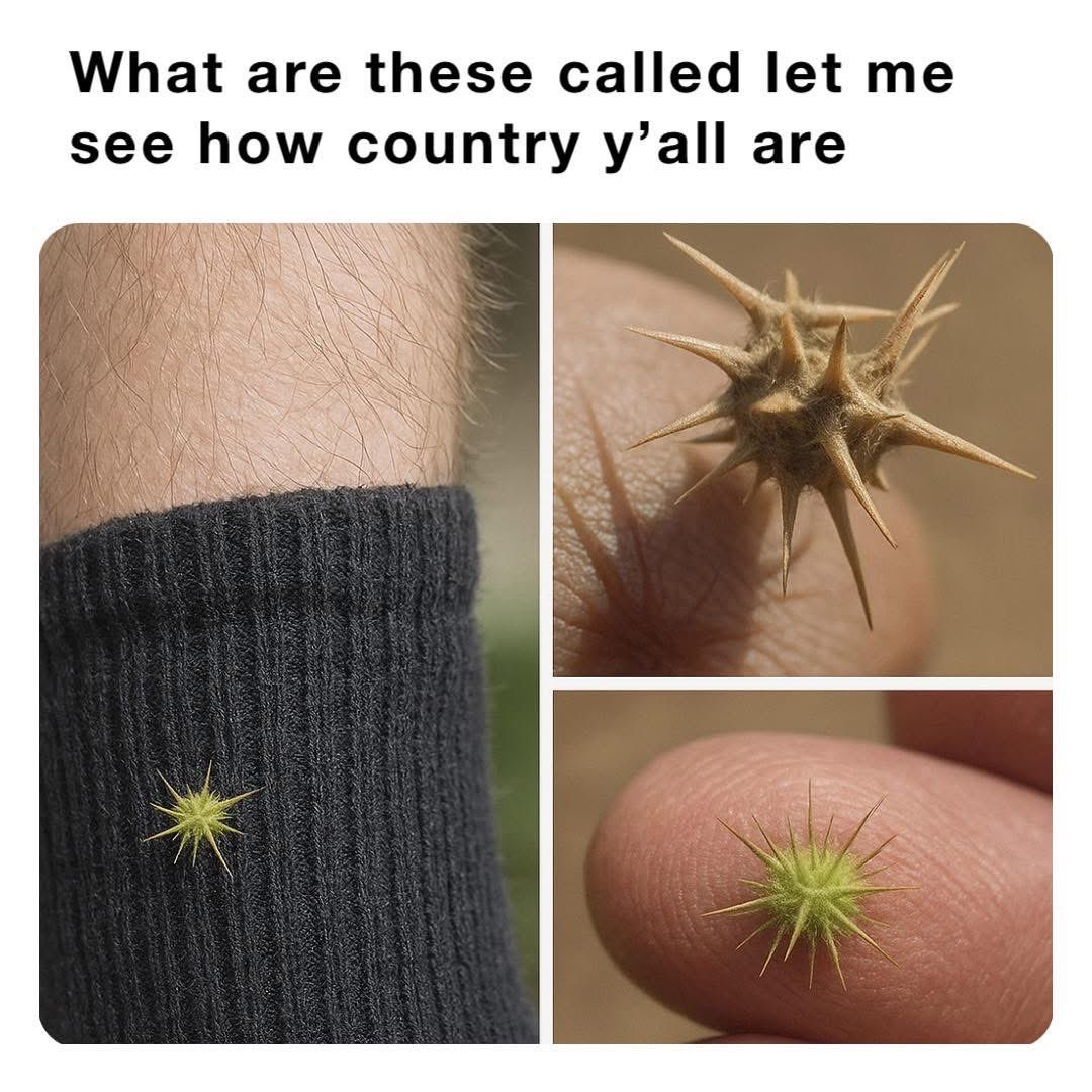 Rothmus 🏴 tweet media