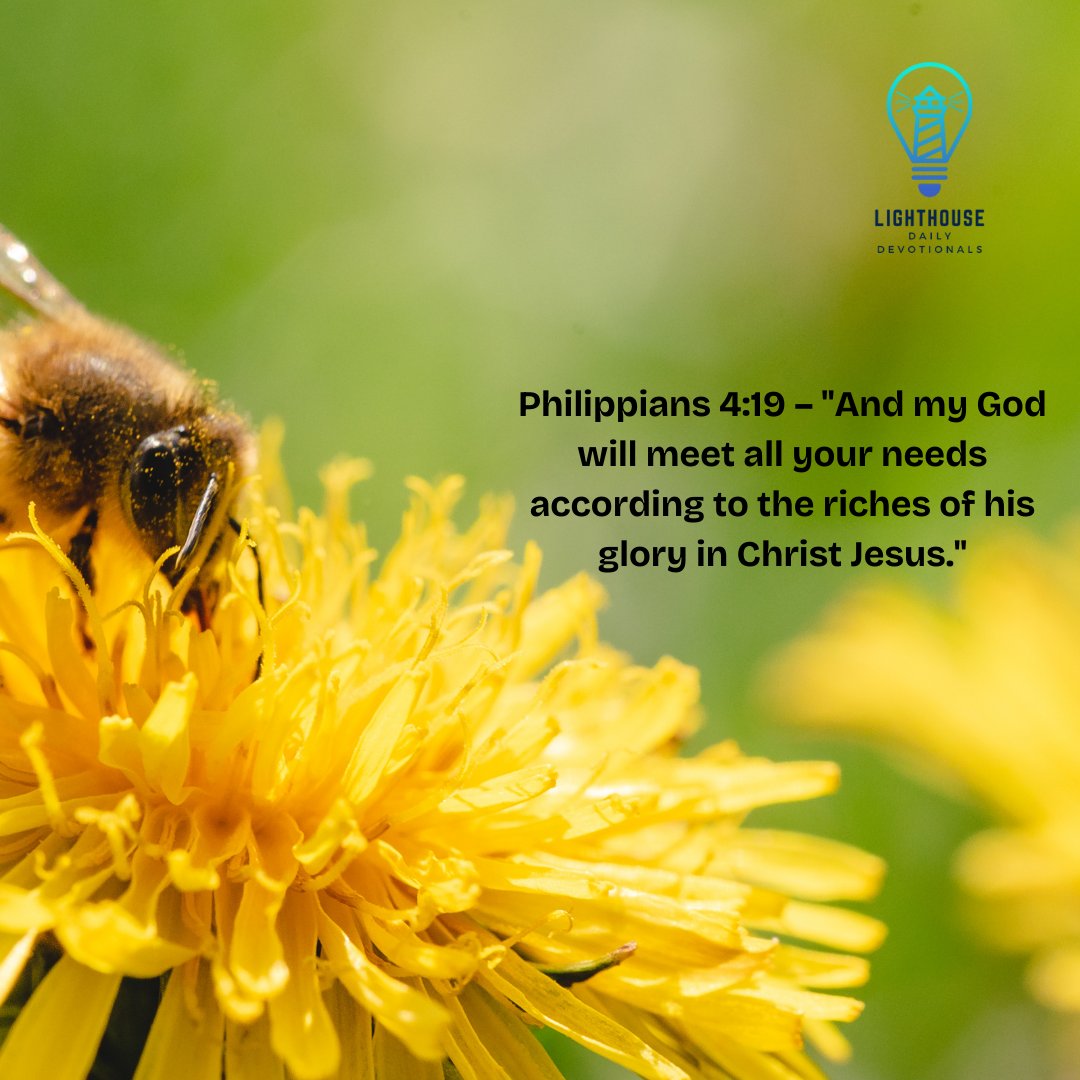 Lighthousedail's tweet image. 💖 Trust in His abundant provision for every need. #LighthouseDailyDevotionals #Philippians419 #BibleVerse #Faith #GodsProvision #ChristianLiving #Encouragement #HopeInChrist #SpiritualGrowth #GodsWord #DailyReflection #Blessings #BibleStudy