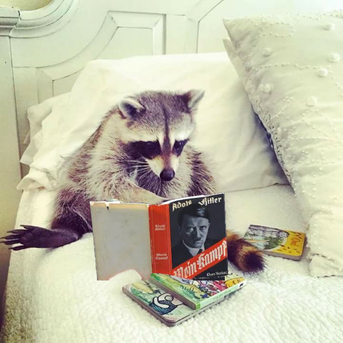 Sprinkles the Right Wing Raccoon (@sprinkles_1008) on Twitter photo 