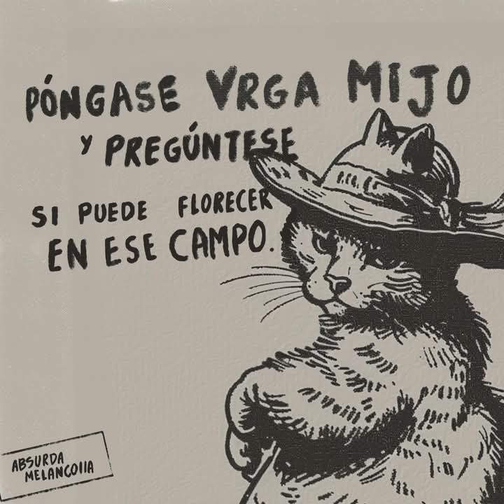 Absurda Melancolía tweet media