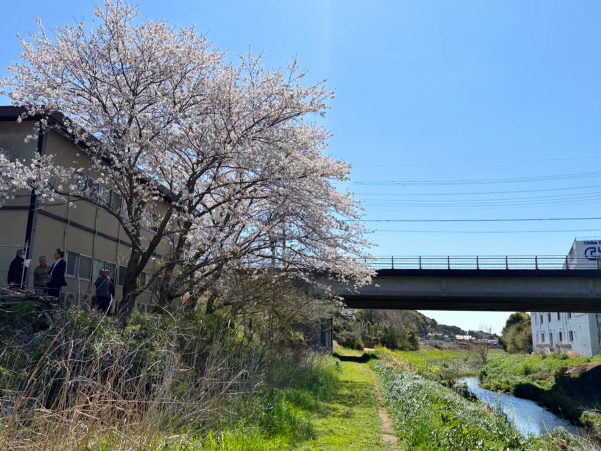 ASTONEinc_jp's tweet photo. \木曜日/

ASTONEで運営している、生活支援施設近くのお散歩コースです🍃
人も少なく、ゆったりと考え事や風景を楽しみながらお散歩できる場所になっています🍵今の時期は桜も楽しめるスポットです🌸

#千葉県 #桜 #生活保護 https://t.co/Q5Gv6IX1Nz