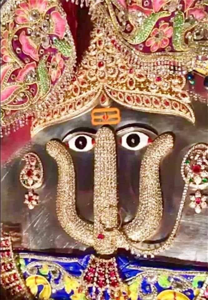 जय दादी की जय जय श्री दादी जी की भाई जी राणी सत्यै नमो नमः