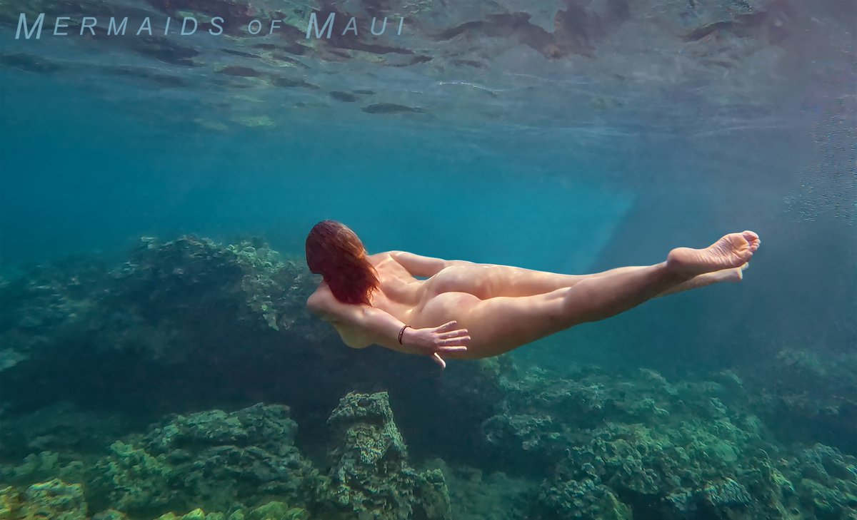 Mermaids_Maui's tweet photo. Let's get you  to Maui for your Mermaid Photoshoot. DM Inquiries #mermaid #mermaids #mermaidsarereal #mermazing #maui #hawaii https://t.co/kaGwCfycxJ