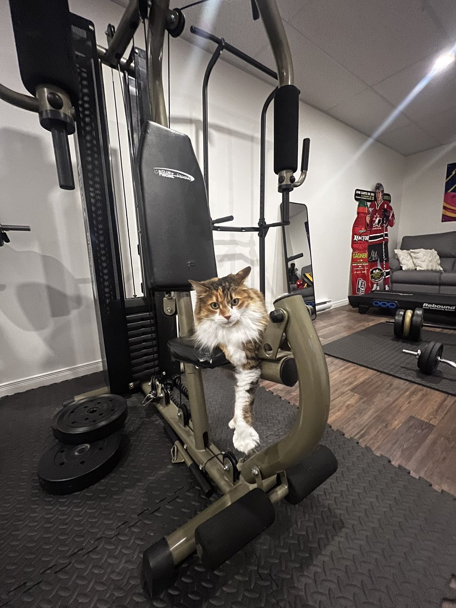 clawje tweet media