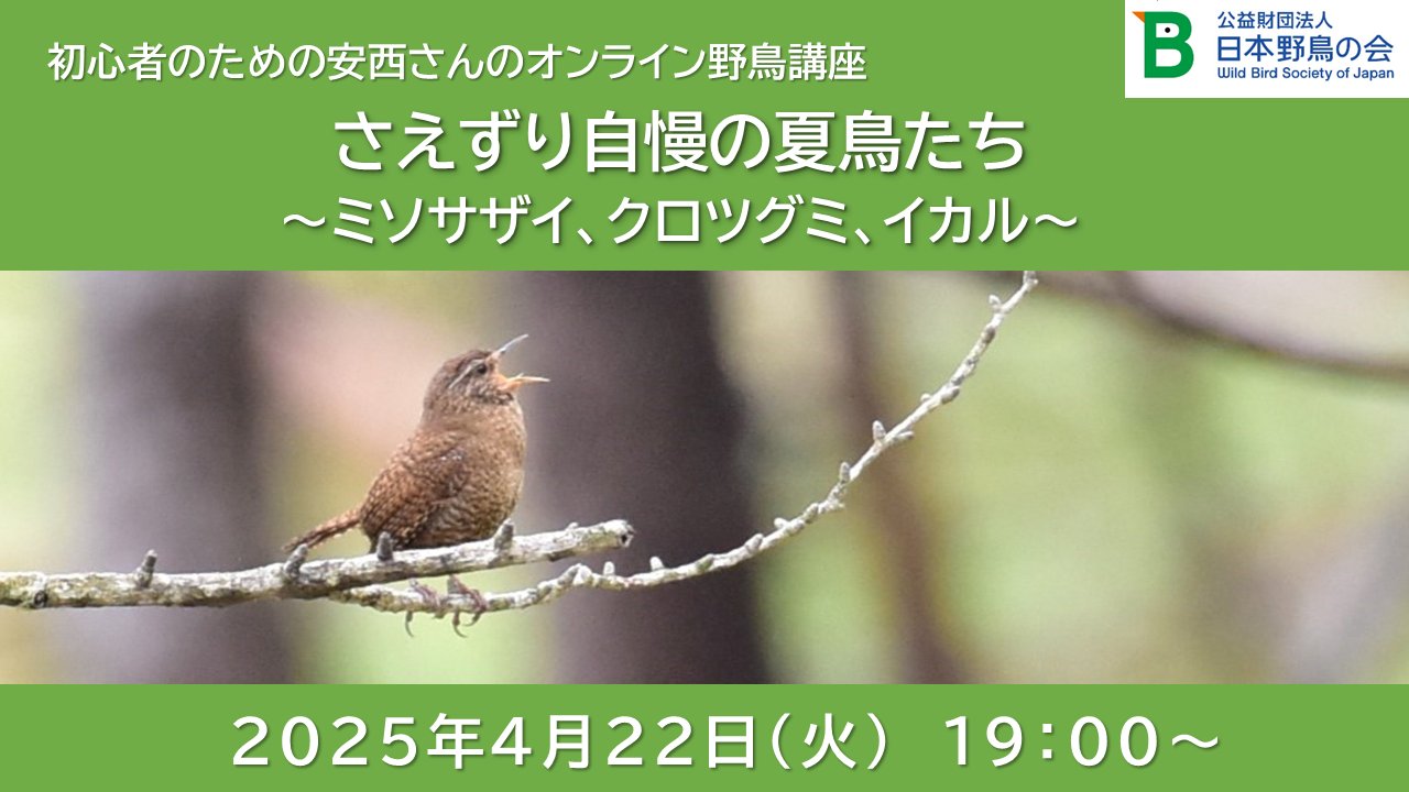 日本野鳥の会 お散歩ひなこ (@wbsj_fukyu) / X