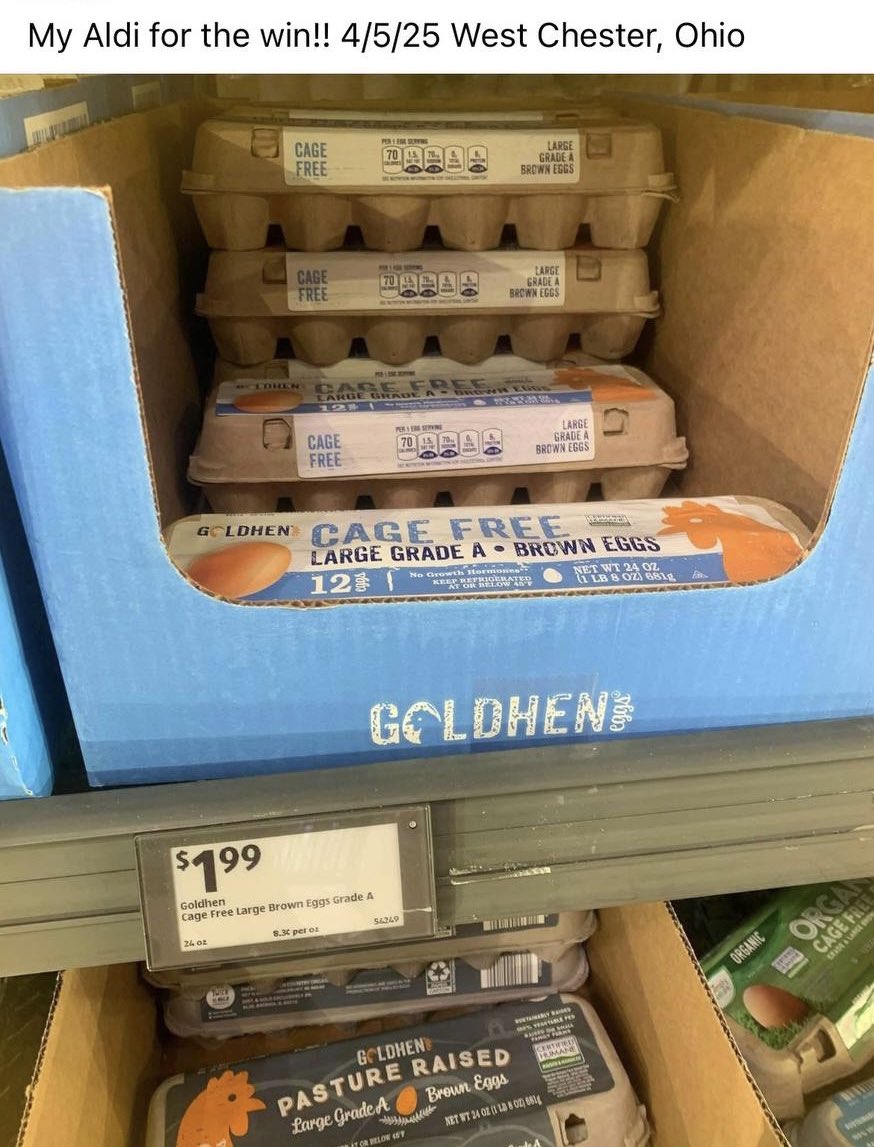 Benny Johnson tweet media